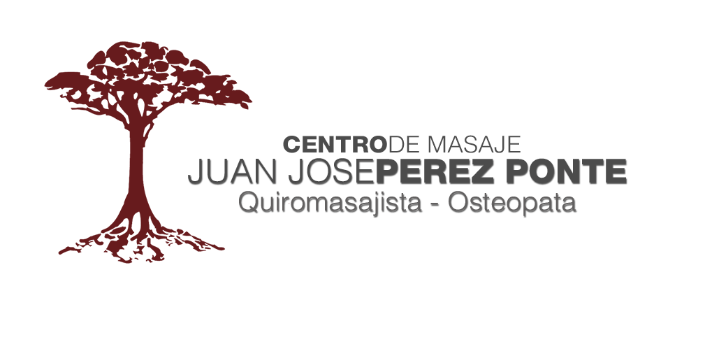 Juan Jose Perez Ponte